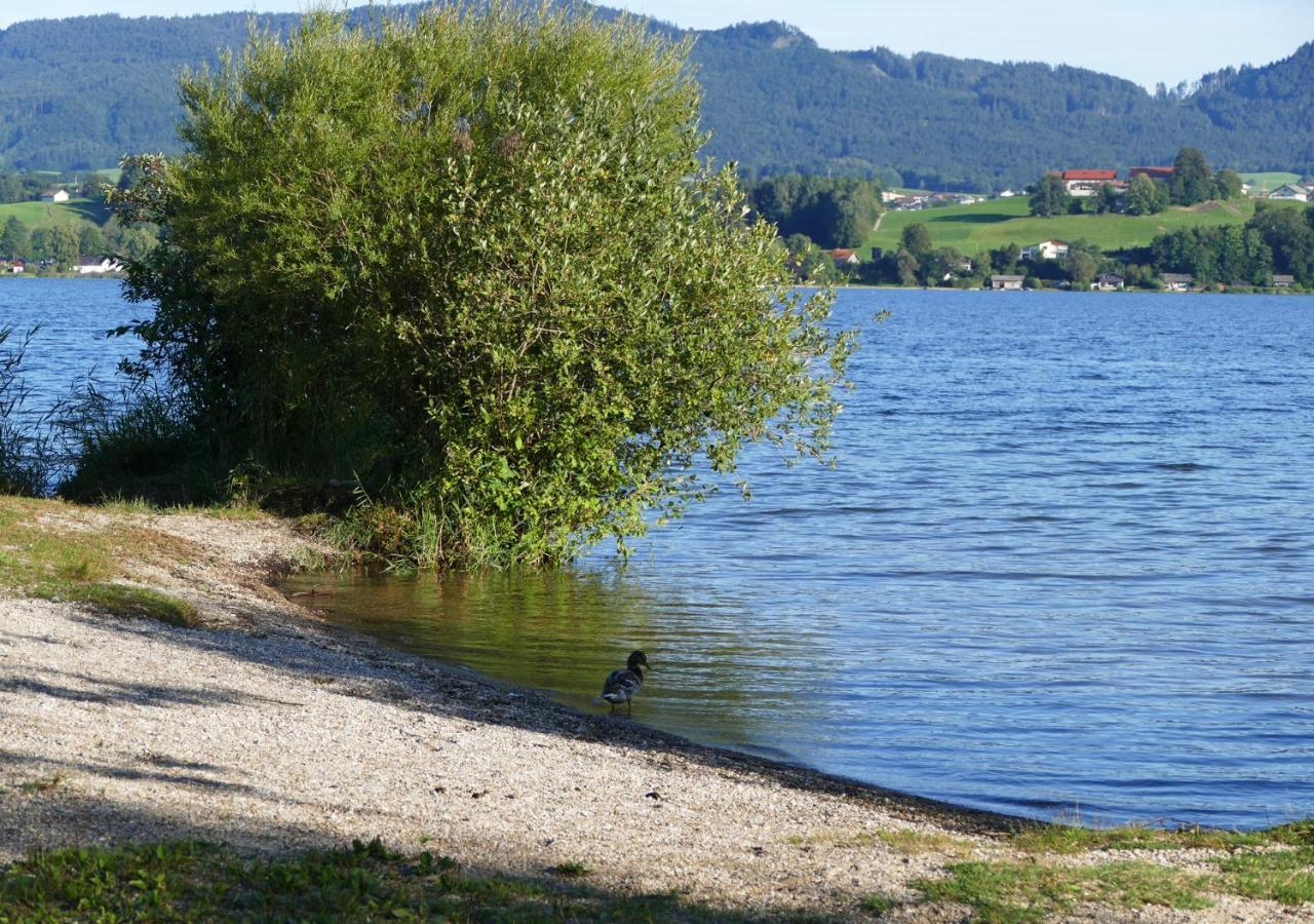 Refugio Del Lago Seekirchen am Wallersee Exterior foto