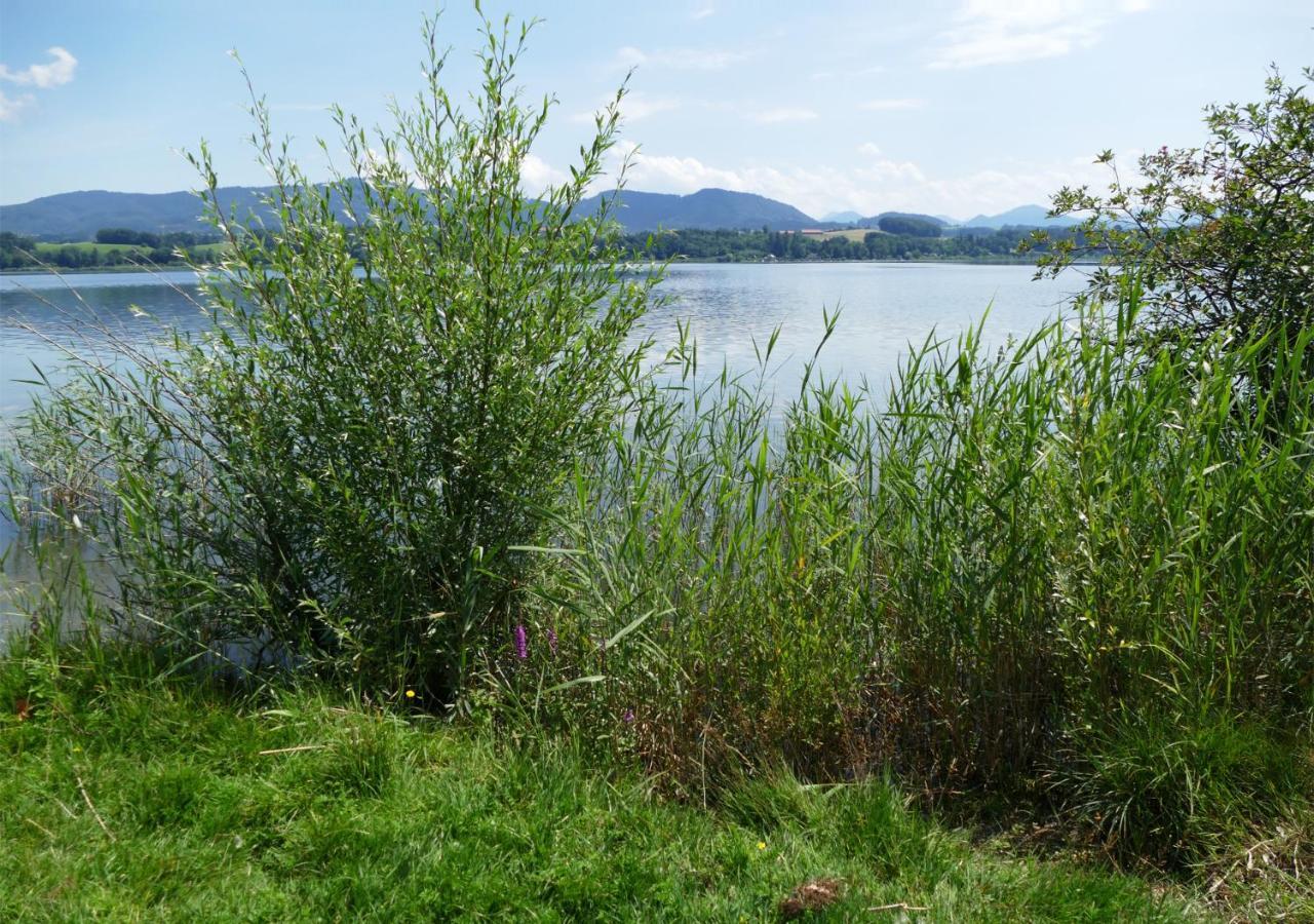 Refugio Del Lago Seekirchen am Wallersee Exterior foto