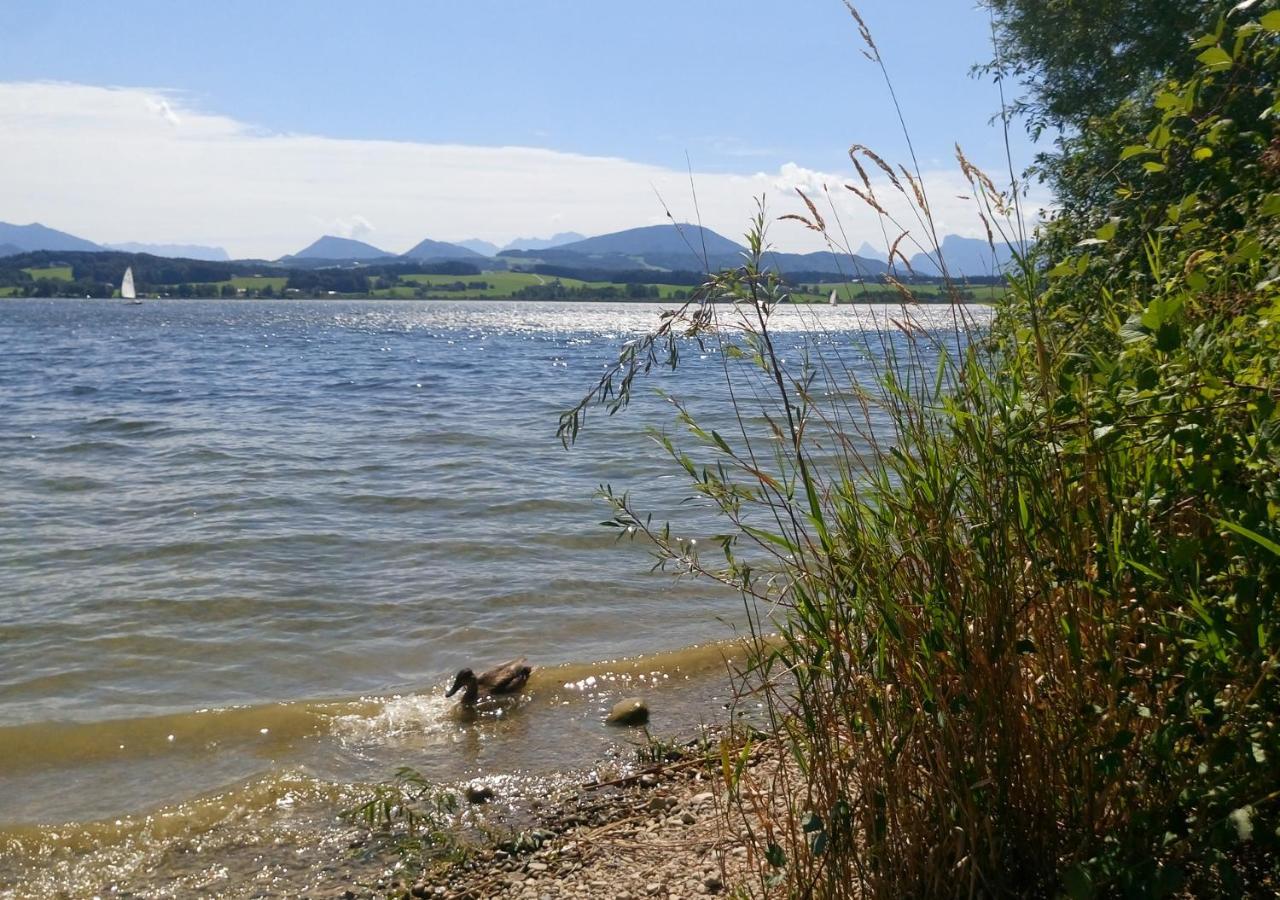 Refugio Del Lago Seekirchen am Wallersee Exterior foto